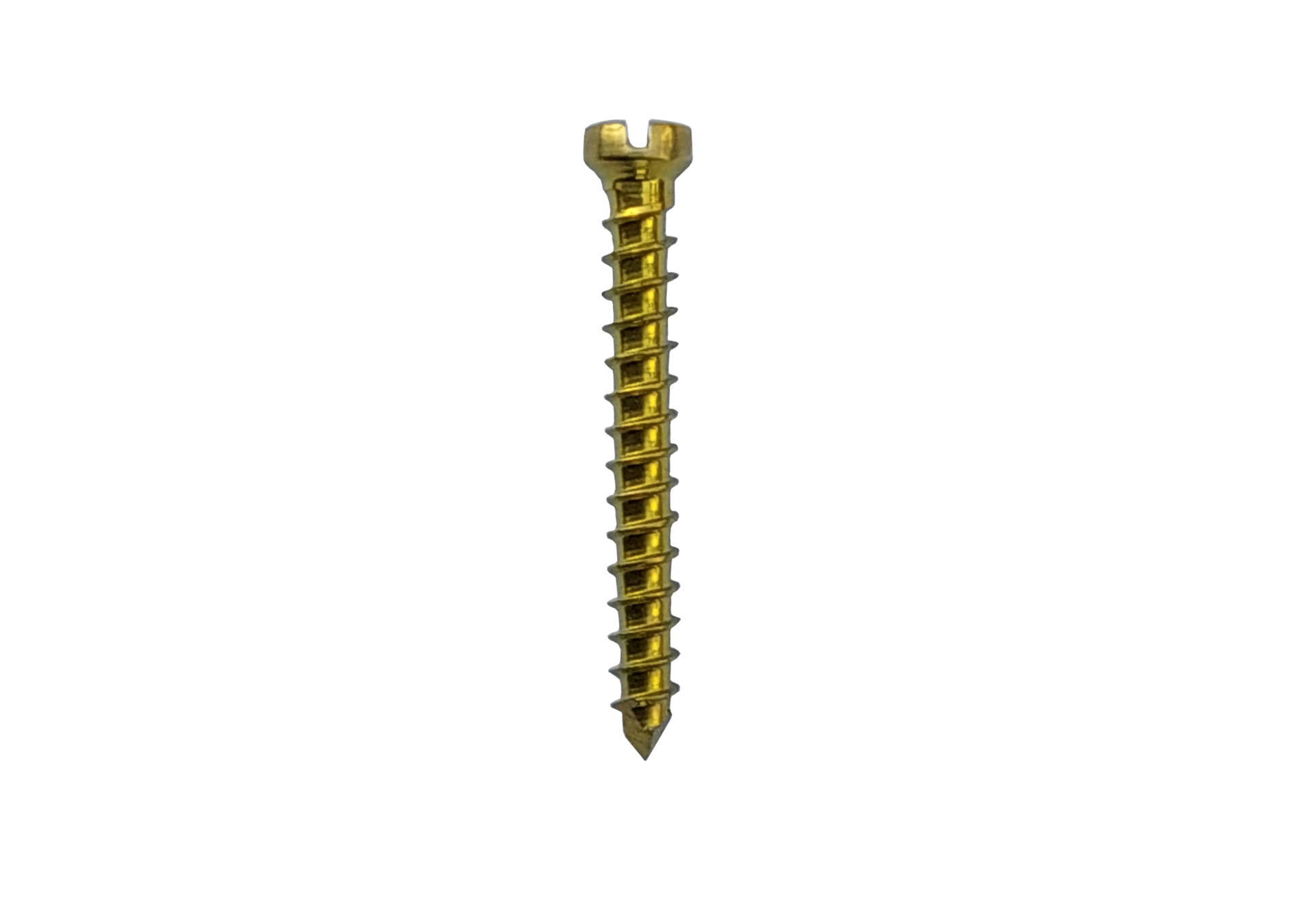 /storage/photos/1/madiha-ortho images/Screw/Maxilofacial screw/1.7 mm cross slotted emergency screw.png